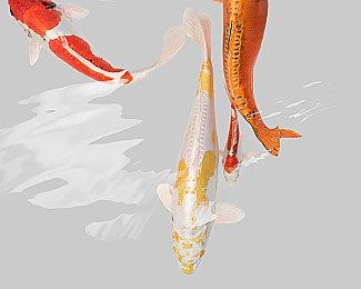 Xbox游戏展会第一方游戏展示均为实机 没有CG